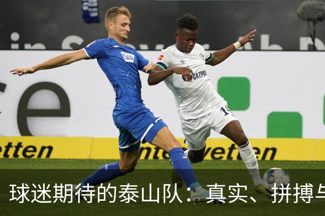 球迷期待的泰山队：真实、拼搏与团结